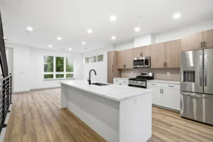 Kitchen-with-Stainless-Steel-Appliances